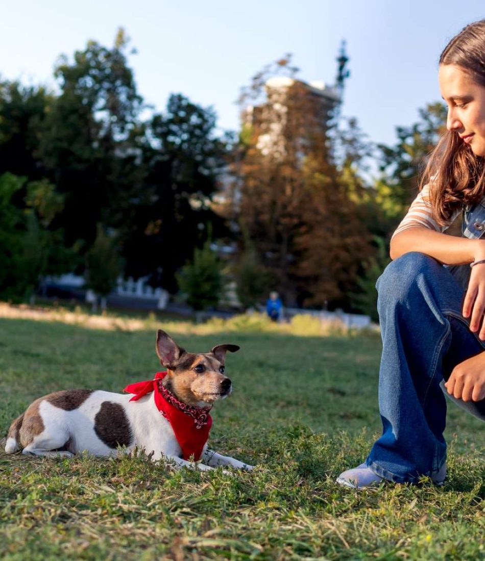 a-teenage-girl-trains-a-cute-pet-dog-jack-russell-2023-11-27-04-52-21-utc